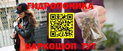 СК Краснодар
